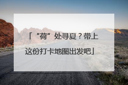 “荷”处寻夏？带上这份打卡地图出发吧