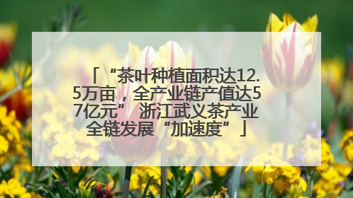 “茶叶种植面积达12.5万亩，全产业链产值达57亿元” 浙江武义茶产业全链发展“加速度”