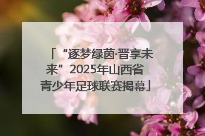 “逐梦绿茵·晋享未来”2025年山西省青少年足球联赛揭幕