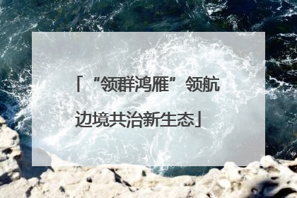 “领群鸿雁”领航边境共治新生态