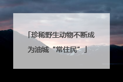 珍稀野生动物不断成为油城“常住民”