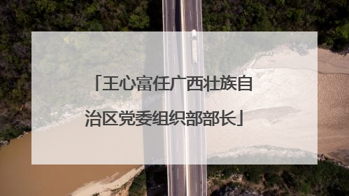 王心富任广西壮族自治区党委组织部部长