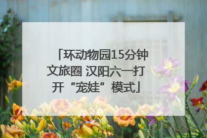 环动物园15分钟文旅圈 汉阳六一打开“宠娃”模式