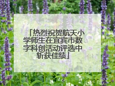 热烈祝贺航天小学师生在宜宾市数字科创活动评选中斩获佳绩