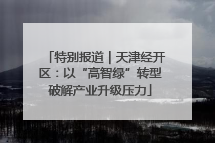 特别报道｜天津经开区：以“高智绿”转型破解产业升级压力
