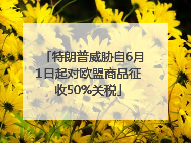 特朗普威胁自6月1日起对欧盟商品征收50%关税