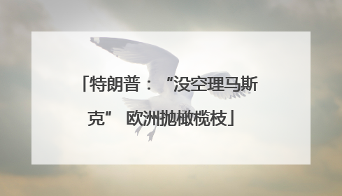 特朗普：“没空理马斯克” 欧洲抛橄榄枝