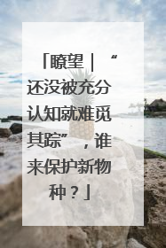 瞭望｜“还没被充分认知就难觅其踪”，谁来保护新物种？