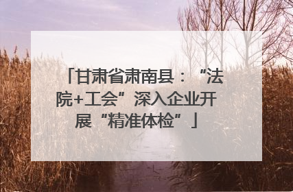 甘肃省肃南县：“法院+工会”深入企业开展“精准体检”