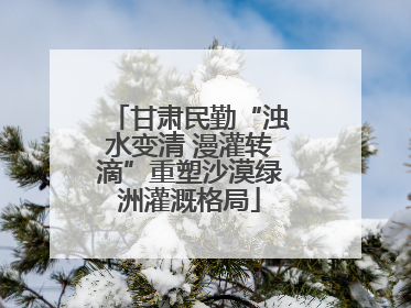 甘肃民勤“浊水变清 漫灌转滴”重塑沙漠绿洲灌溉格局