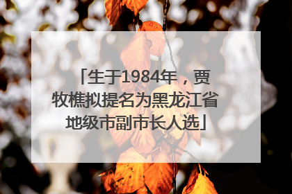 生于1984年，贾牧樵拟提名为黑龙江省地级市副市长人选
