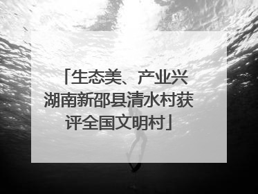 生态美、产业兴 湖南新邵县清水村获评全国文明村