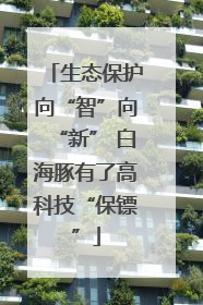 生态保护向“智”向“新” 白海豚有了高科技“保镖”