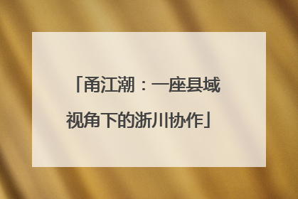 甬江潮：一座县域视角下的浙川协作