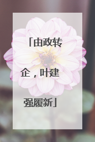 由政转企，叶建强履新