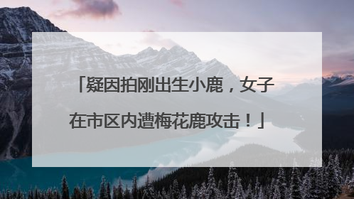 疑因拍刚出生小鹿，女子在市区内遭梅花鹿攻击！