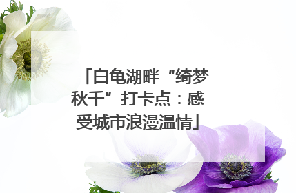 白龟湖畔“绮梦秋千”打卡点：感受城市浪漫温情
