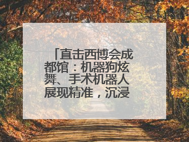 直击西博会成都馆：机器狗炫舞、手术机器人展现精准，沉浸式体验受热捧