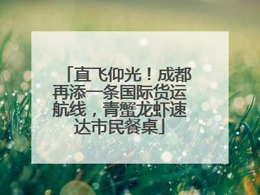 直飞仰光！成都再添一条国际货运航线，青蟹龙虾速达市民餐桌