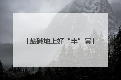 盐碱地上好“丰”景