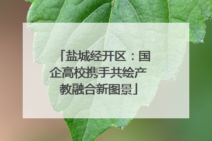 盐城经开区：国企高校携手共绘产教融合新图景