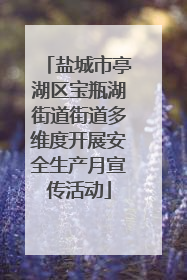 盐城市亭湖区宝瓶湖街道街道多维度开展安全生产月宣传活动