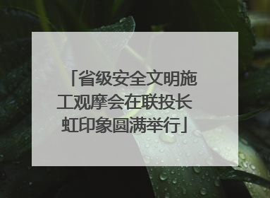 省级安全文明施工观摩会在联投长虹印象圆满举行