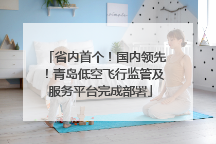 省内首个！国内领先！青岛低空飞行监管及服务平台完成部署