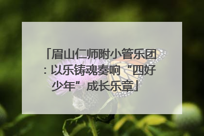 眉山仁师附小管乐团：以乐铸魂奏响“四好少年”成长乐章