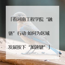 看河南工程学院“融链”行动 如何为区域发展按下“加速键”
