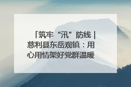 筑牢“汛”防线｜慈利县东岳观镇：用心用情架好党群温暖悠长的“连心桥”