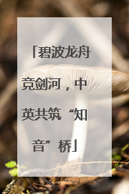 碧波龙舟竞剑河，中英共筑“知音”桥