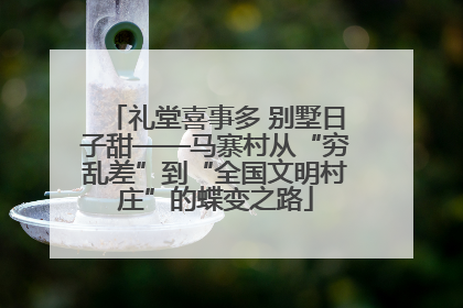 礼堂喜事多 别墅日子甜——马寨村从“穷乱差”到“全国文明村庄”的蝶变之路