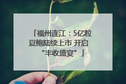 福州连江：5亿粒夏鲍陆续上市 开启“丰收盛宴”