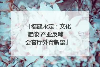福建永定：文化赋能 产业反哺 会客厅外育新景