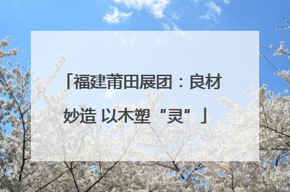 福建莆田展团：良材妙造 以木塑“灵”