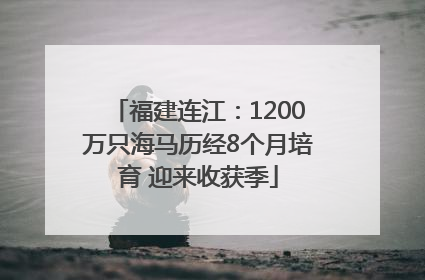 福建连江：1200万只海马历经8个月培育 迎来收获季