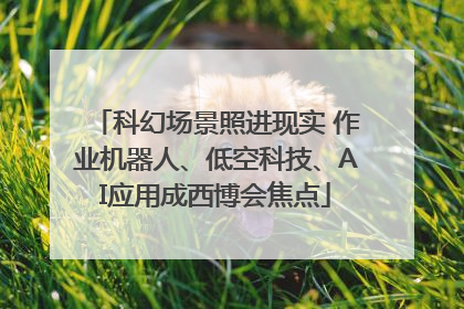 科幻场景照进现实 作业机器人、低空科技、AI应用成西博会焦点