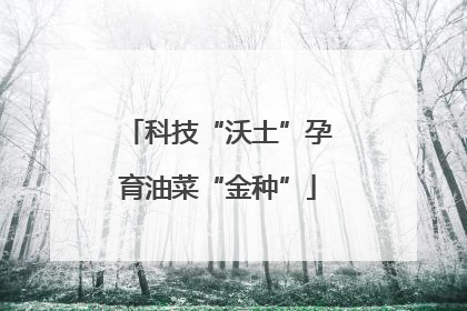 科技“沃土”孕育油菜“金种”