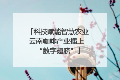 科技赋能智慧农业 云南咖啡产业插上“数字翅膀”