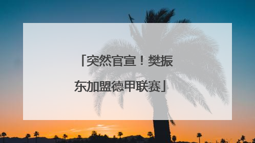 突然官宣！樊振东加盟德甲联赛