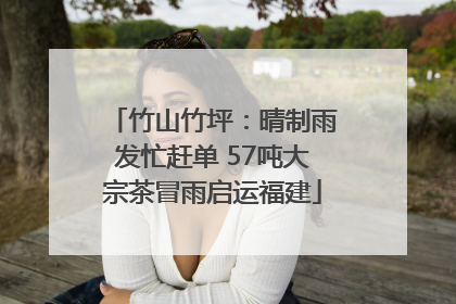 竹山竹坪：晴制雨发忙赶单 57吨大宗茶冒雨启运福建