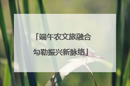 端午农文旅融合 勾勒振兴新脉络