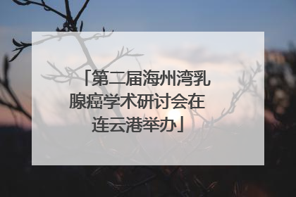 第二届海州湾乳腺癌学术研讨会在连云港举办