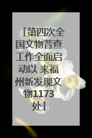 第四次全国文物普查工作全面启动以 来福州新发现文物1173处