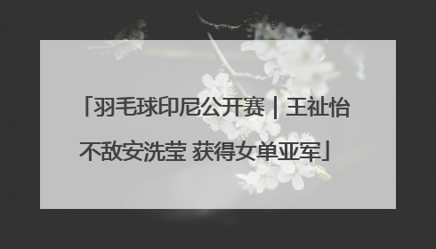 羽毛球印尼公开赛｜王祉怡不敌安洗莹 获得女单亚军