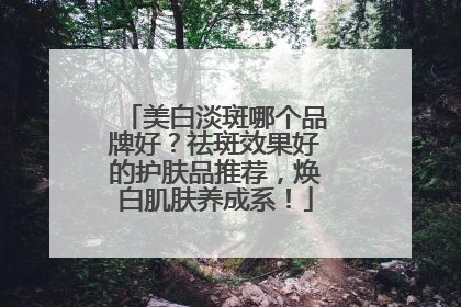 美白淡斑哪个品牌好？祛斑效果好的护肤品推荐，焕白肌肤养成系！