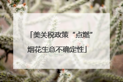 美关税政策“点燃”烟花生意不确定性