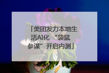 美团发力本地生活AI化 “袋鼠参谋”开启内测