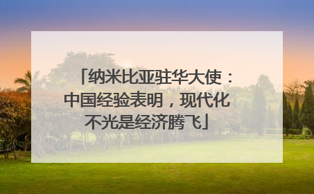 纳米比亚驻华大使：中国经验表明，现代化不光是经济腾飞